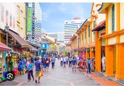 Little India Conservation Area (D8), Shop House #466225951